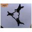 aa84.html