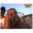 tab7.html
